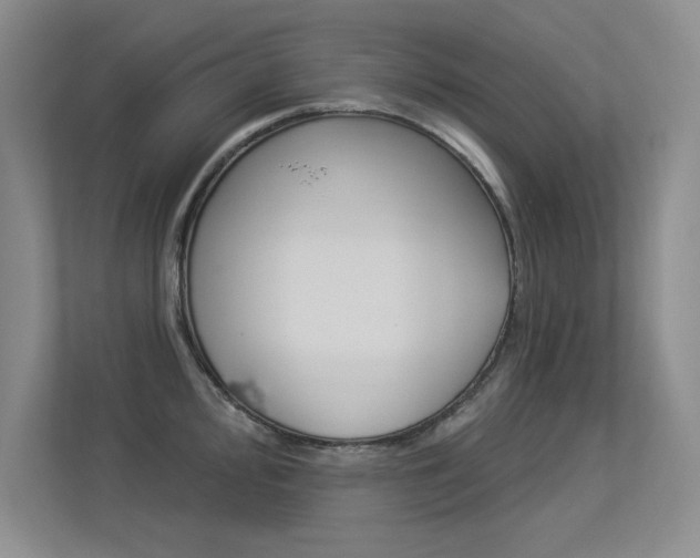 X0000113361000200909151003