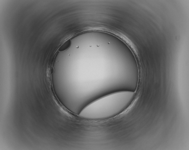 X0000113361001200909151003