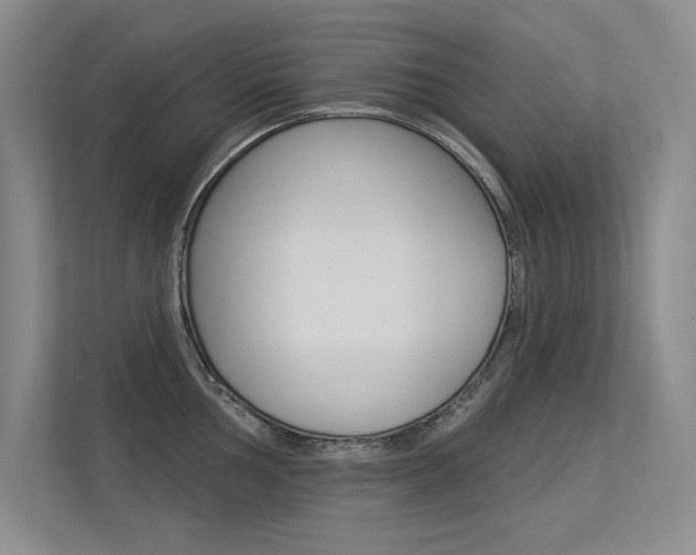 X0000113361002200909151003