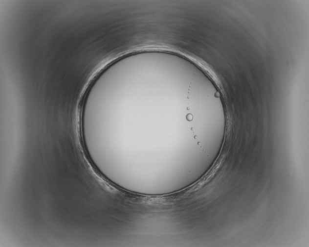 X0000113361006200909151003