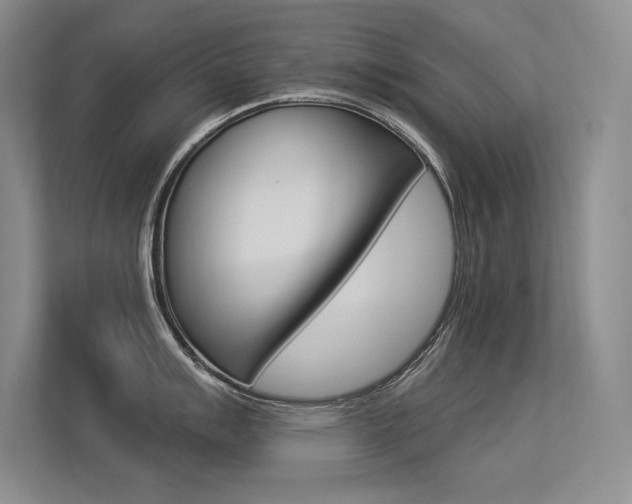 X0000113361007200909151003