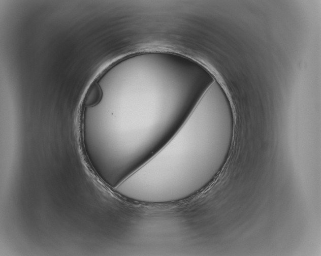 X0000113361008200909151003