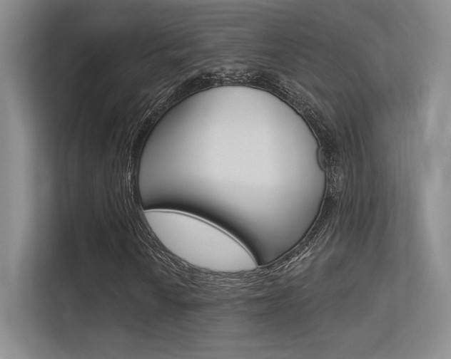 X0000113361010200909151002