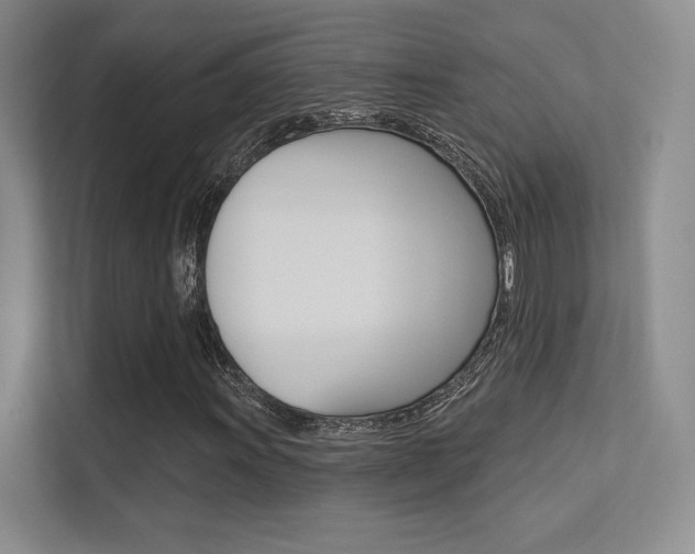 X0000113361011200909151002