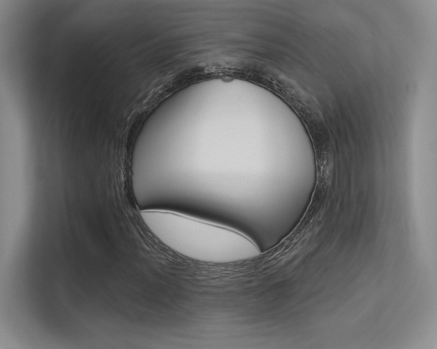 X0000113361012200909151002