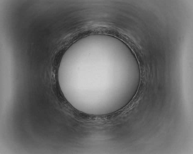 X0000113361013200909151002