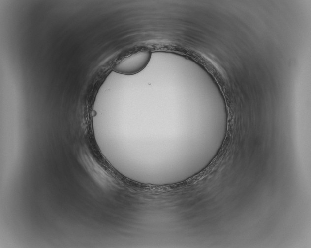 X0000113361015200909151002