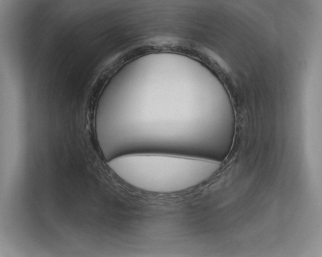 X0000113361016200909151002