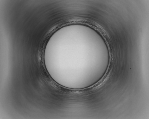X0000113361017200909151002