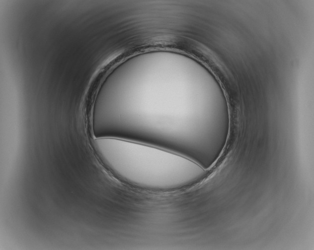 X0000113361018200909151002