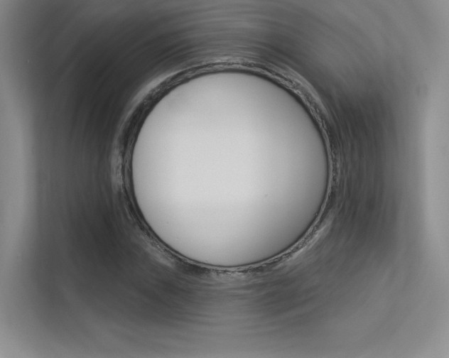 X0000113361019200909151002