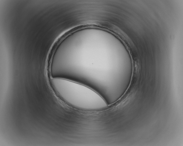 X0000113361020200909151002