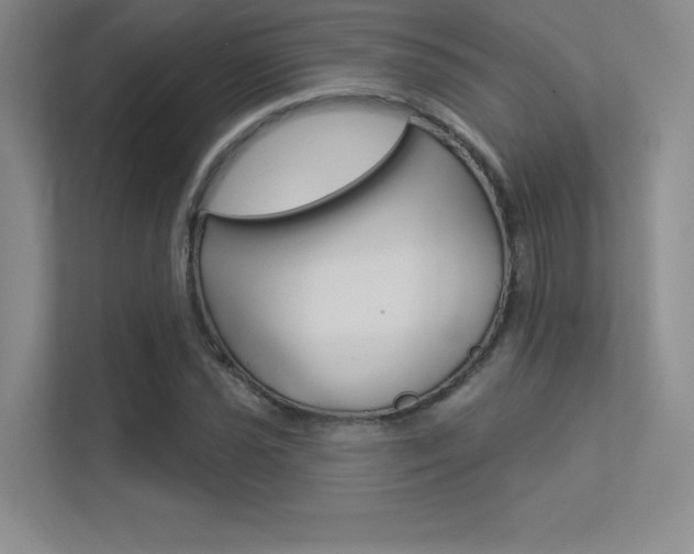 X0000113361021200909151002