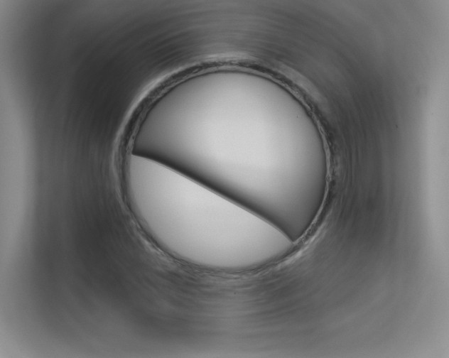 X0000113361022200909151002