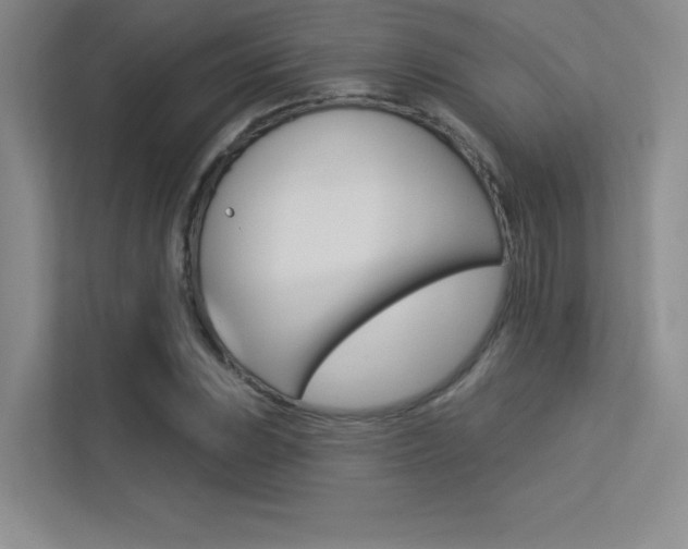 X0000113361023200909151002