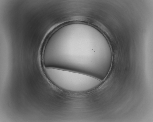 X0000113361024200909151002