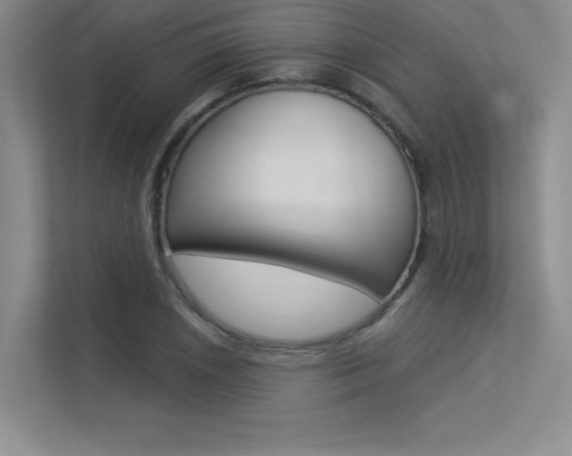 X0000113361026200909151002