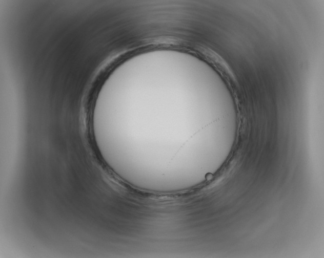 X0000113361027200909151002