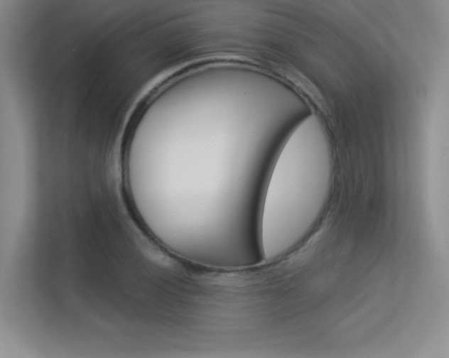 X0000113361028200909151002