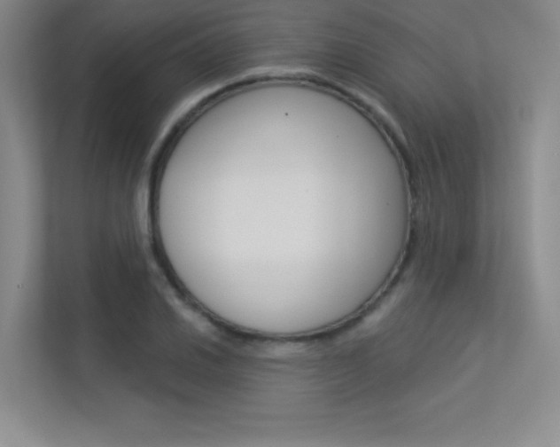 X0000113361030200909151002