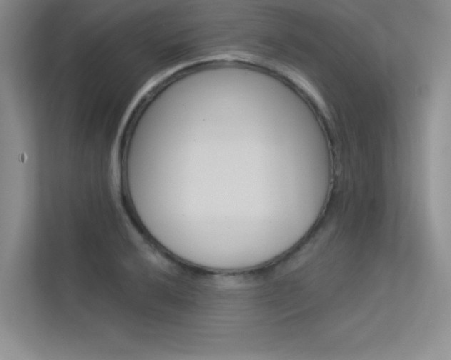 X0000113361032200909151002
