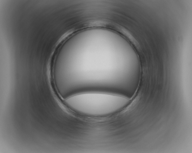 X0000113361034200909151002