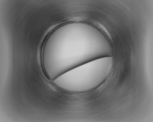 X0000113361035200909151002