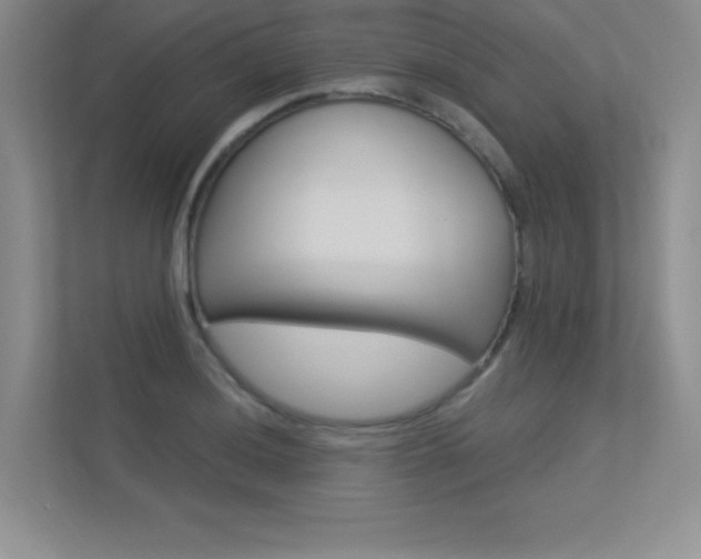 X0000113361036200909151002