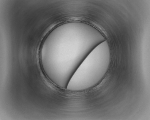 X0000113361039200909151002