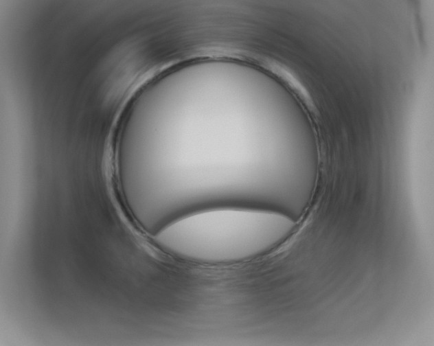 X0000113361040200909151002
