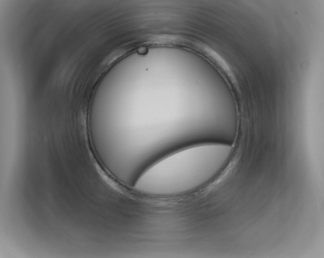 X0000113361041200909151002