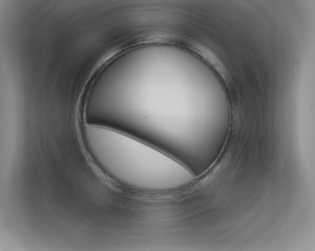 X0000113361042200909151002