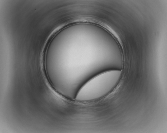 X0000113361045200909151002