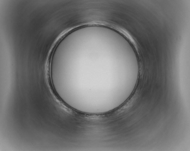 X0000113361048200909151002