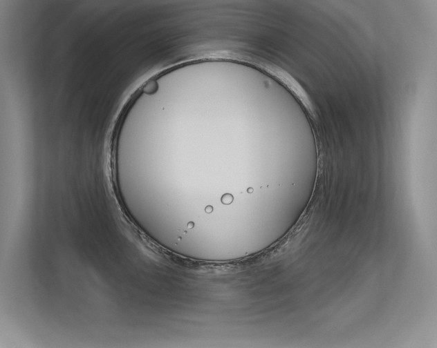 X0000113361051200909151003