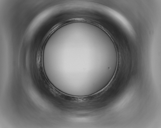 X0000113361052200909151003