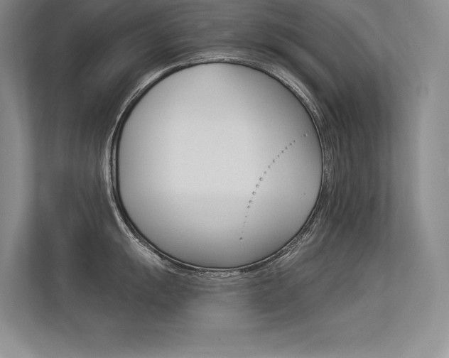 X0000113361055200909151003