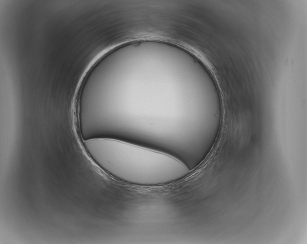 X0000113361056200909151003