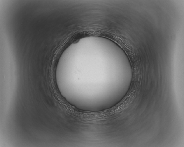 X0000113361057200909151002