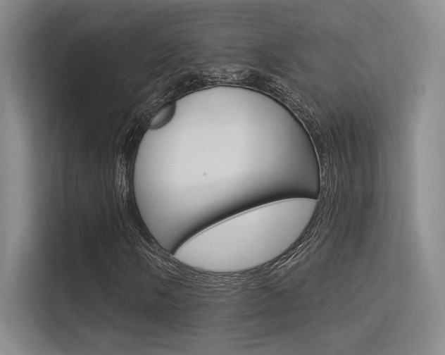 X0000113361058200909151002