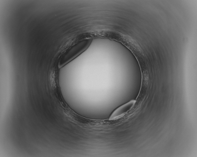 X0000113361060200909151002