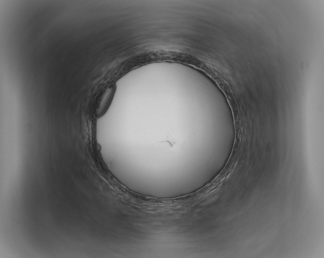 X0000113361061200909151002