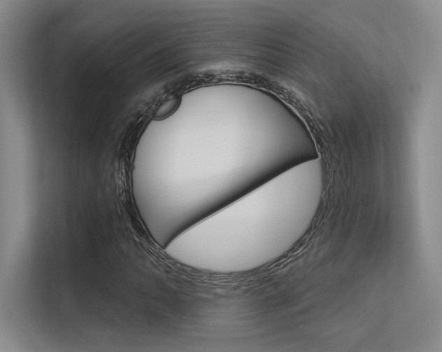 X0000113361062200909151002