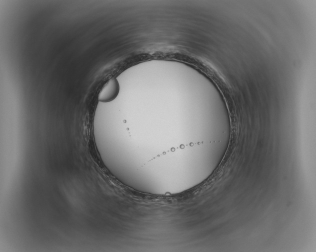 X0000113361063200909151002