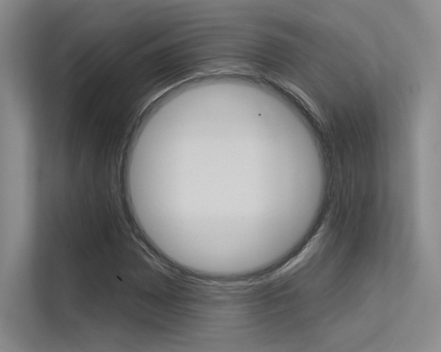X0000113361065200909151002