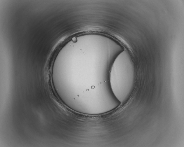 X0000113361067200909151002