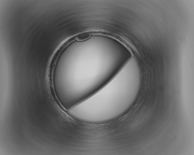 X0000113361068200909151002
