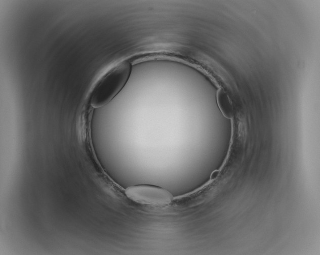 X0000113361069200909151002