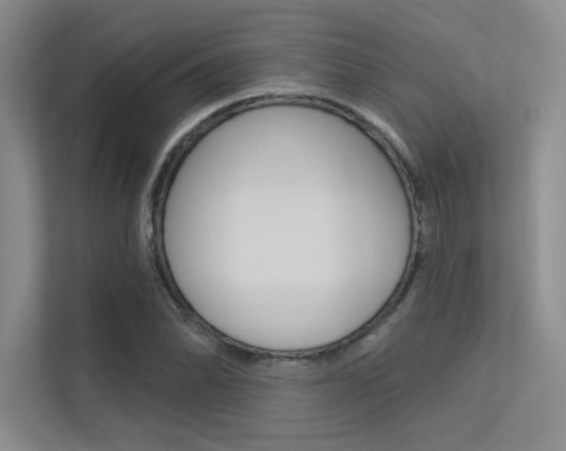 X0000113361070200909151002