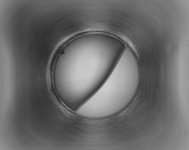 X0000113361072200909151002